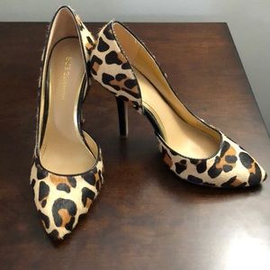 BCBG Leopard Print Pumps